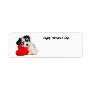 Niedlich Happy Valentine's Day Puppy