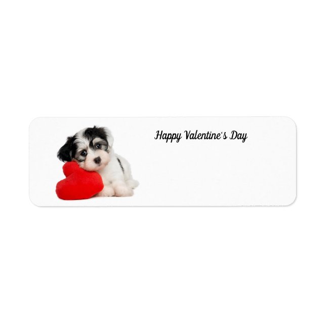 Niedlich Happy Valentine's Day Puppy (Vorne)