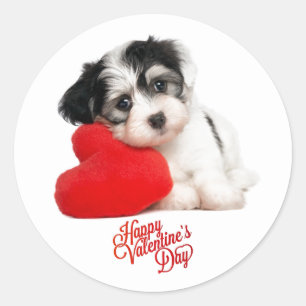 Niedlich Happy Valentine's Day Puppy Runder Aufkleber