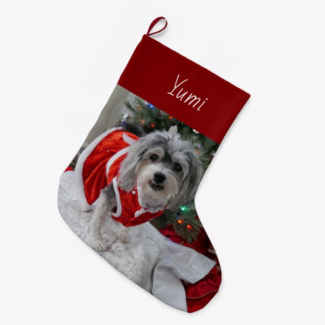 Niedlich Havanese Großer Weihnachtsstrumpf (Vorderansicht (hängend))