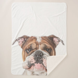 Niedlich Head Bulldog English Bulldog Lover Gesche Sherpadecke