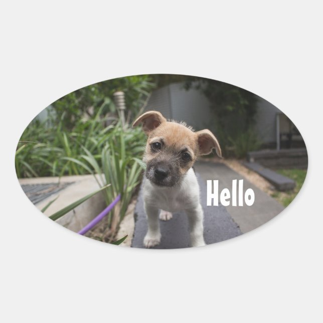 Niedlich Hello Puppy Oval Stickers (Vorderseite)