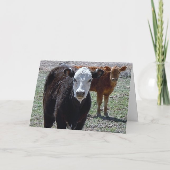 Niedlich Herzlichen Glückwunsch Vet Graduate - Ran Karte (Vorderseite)