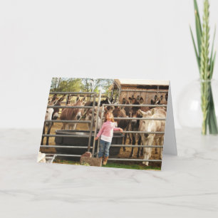 Niedlich Herzlichen Glückwunsch zum Abschluss DVM  Karte