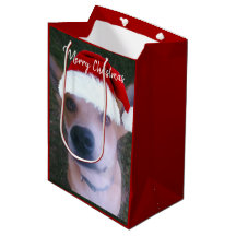 Niedlich Hund Foto Red Christmas Custom