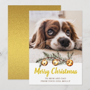 Niedlich Hunde Foto Frohe Weihnachten Mama Vater G