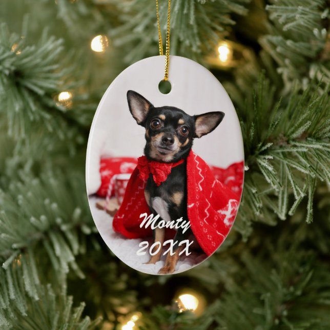 Niedlich Hunde Foto Keramik Ornament