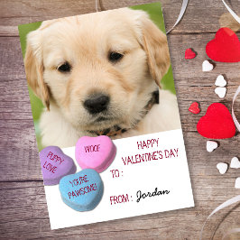 Niedlich Hunde Foto Klassenzimmer Valentine Candy  Feiertagspostkarte