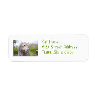 Niedlich Irish Wolfhound