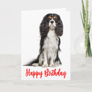 Niedlich King Charles Cavalier Dog Birthday Karte