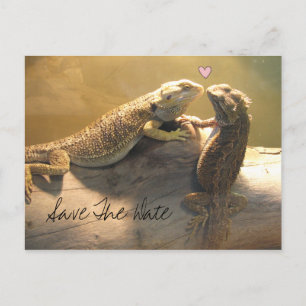 Niedlich Kissing Lizards Wedding Save the Date Ankündigungspostkarte