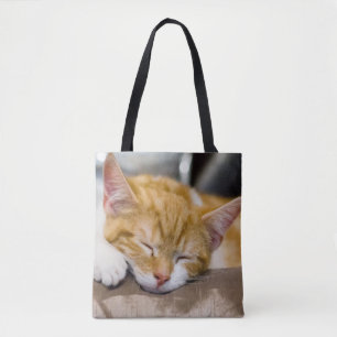 Niedlich Kitten