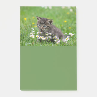 Niedlich Kitten Art Post-it Klebezettel