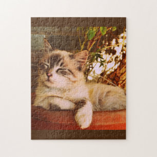 Niedlich Kitten Asleep Puzzle