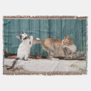 Niedlich Kitten Chasing Mama Schwanz Funny Cat Fot Decke