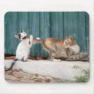 Niedlich Kitten Chasing Mama Schwanz Funny Cat Fot Mousepad