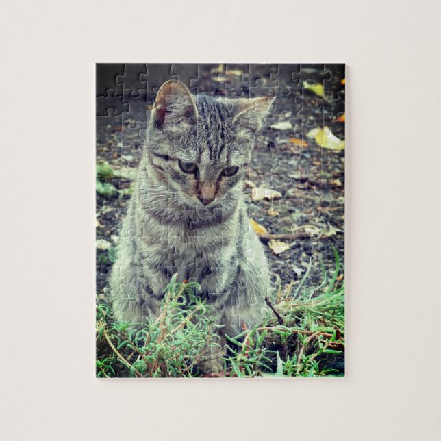 Niedlich Kitten Foto Puzzle (Vertikal)