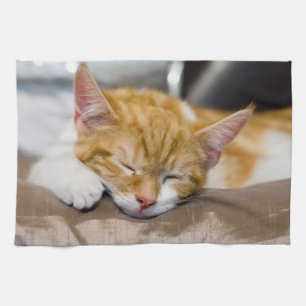 Niedlich Kitten Handtuch