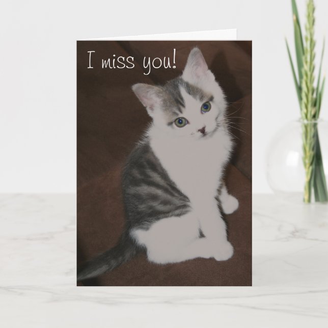 Niedlich Kitten "I miss you" Karte (Vorderseite)