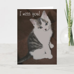 Niedlich Kitten "I miss you" Karte