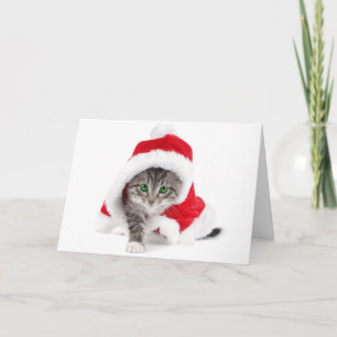 Niedlich Kitten in Santa Anzug Weihnachtskarte Feiertagskarte