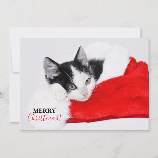 Niedlich Kitten in Weihnachtsmannmütze Feiertagskarte (Vorderseite)