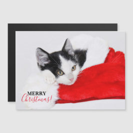 Niedlich Kitten in Weihnachtsmannmütze Magnetkarte