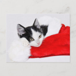 Niedlich Kitten in Weihnachtsmannmütze Postkarte