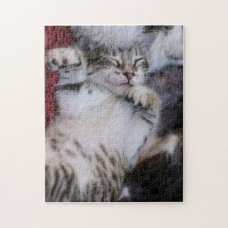 Niedlich Kitten Jigsaw Puzzle