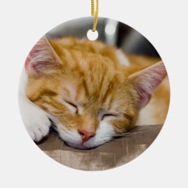 Niedlich Kitten Keramik Ornament (Vorne)