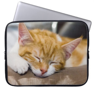 Niedlich Kitten Laptopschutzhülle
