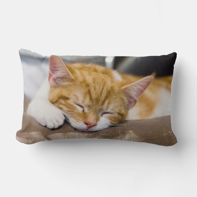 Niedlich Kitten Lendenkissen (Vorderseite)