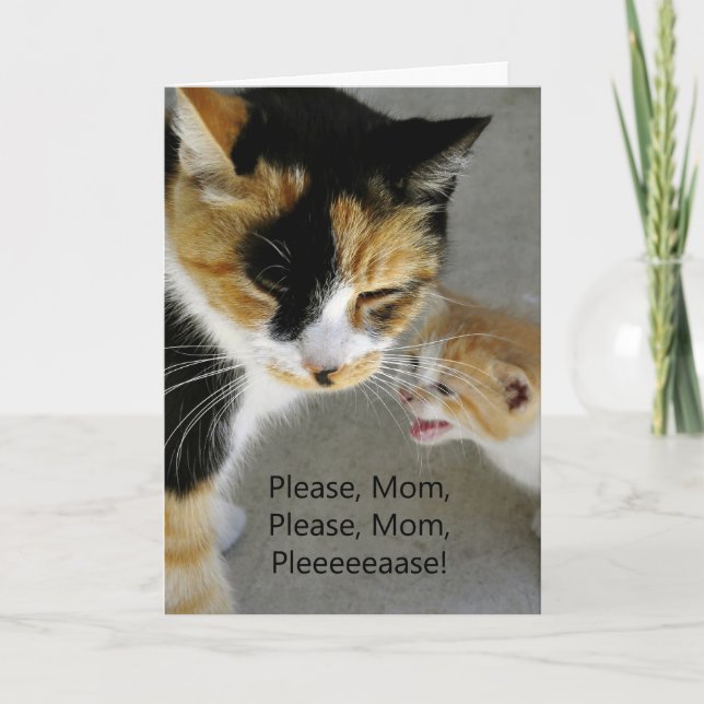 Niedlich Kitten Mama Happy Birthday Card Karte (Vorderseite)