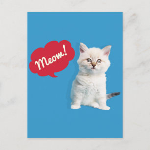 Niedlich Kitten Meow Caption Postkarte