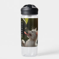 Niedlich Kitten mit Dewdrop Personalisiert Name Ge