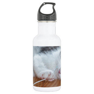 Niedlich Kitten mit String Edelstahlflasche