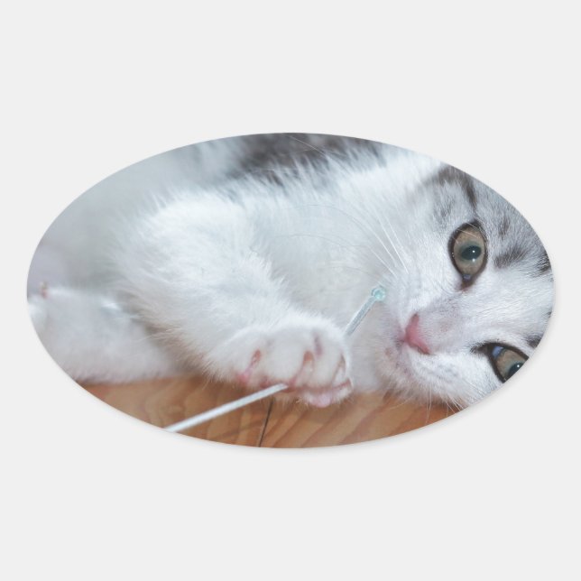 Niedlich Kitten mit String Ovaler Aufkleber (Vorderseite)