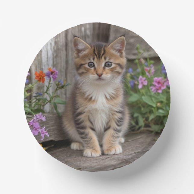 Niedlich Kitten Pappteller (Vorderseite)