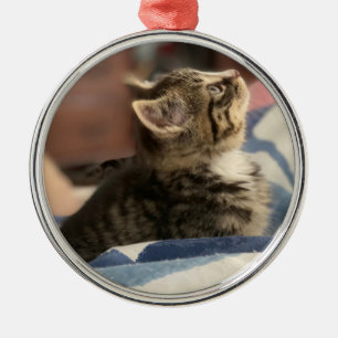 Niedlich Kitten Personalisiert Foto Weihnachten Ornament Aus Metall