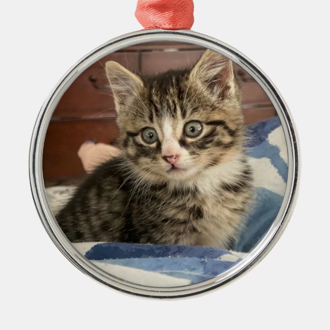 Niedlich Kitten Personalisiert Foto Weihnachten Ornament Aus Metall (Vorne)