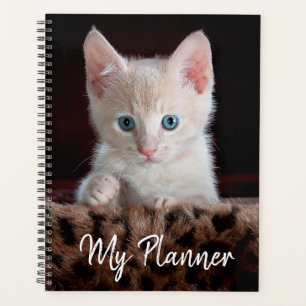 Niedlich Kitten Planer
