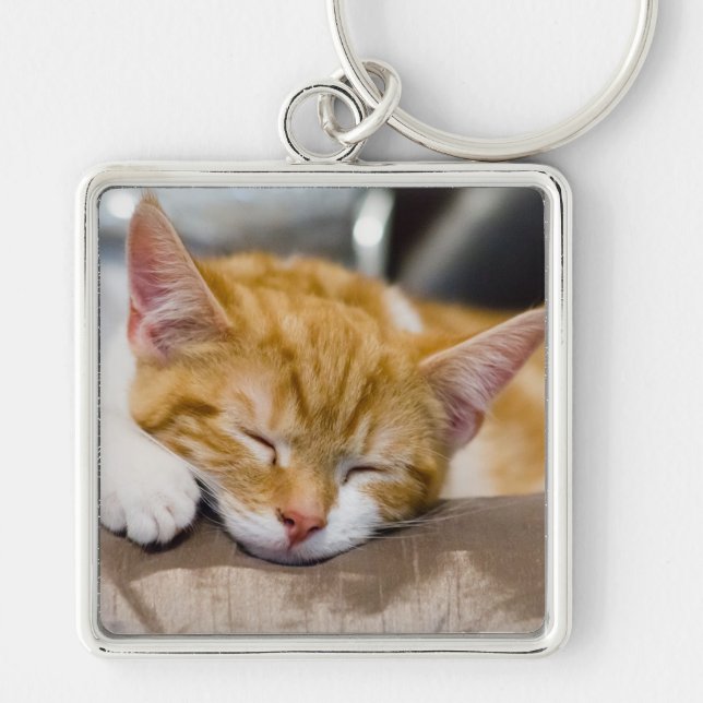 Niedlich Kitten Schlüsselanhänger (Vorne)
