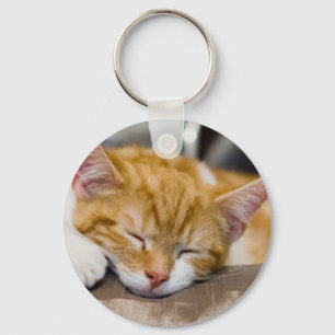Niedlich Kitten Schlüsselanhänger