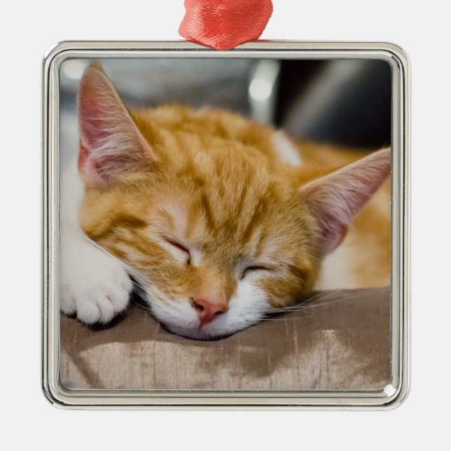 Niedlich Kitten Silbernes Ornament (Vorne)