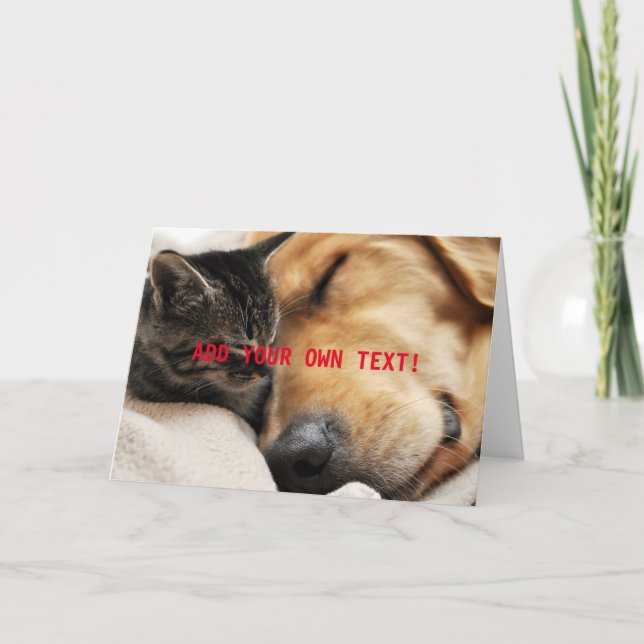 Niedlich Kitten und Welpen fügen Ihren eigenen TEX Karte (Vorderseite)