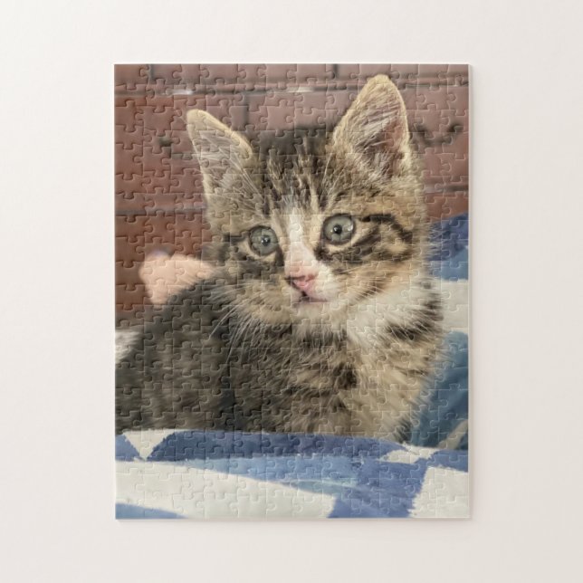 Niedlich Kitten | Verlass dieses Bild oder eigene  Puzzle (Vertikal)