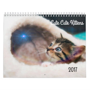 NIEDLICH KITTENS 2017 KALENDER