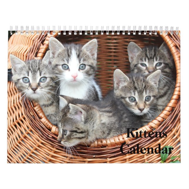 Niedlich Kittens 2025 Bengalisch Tiger Kalender (Titelbild)