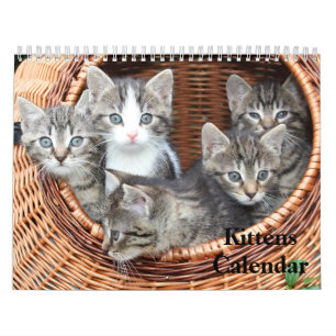 Niedlich Kittens 2025 Bengalisch Tiger Kalender