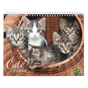 Niedlich Kittens Cat Pet Foto Kalender